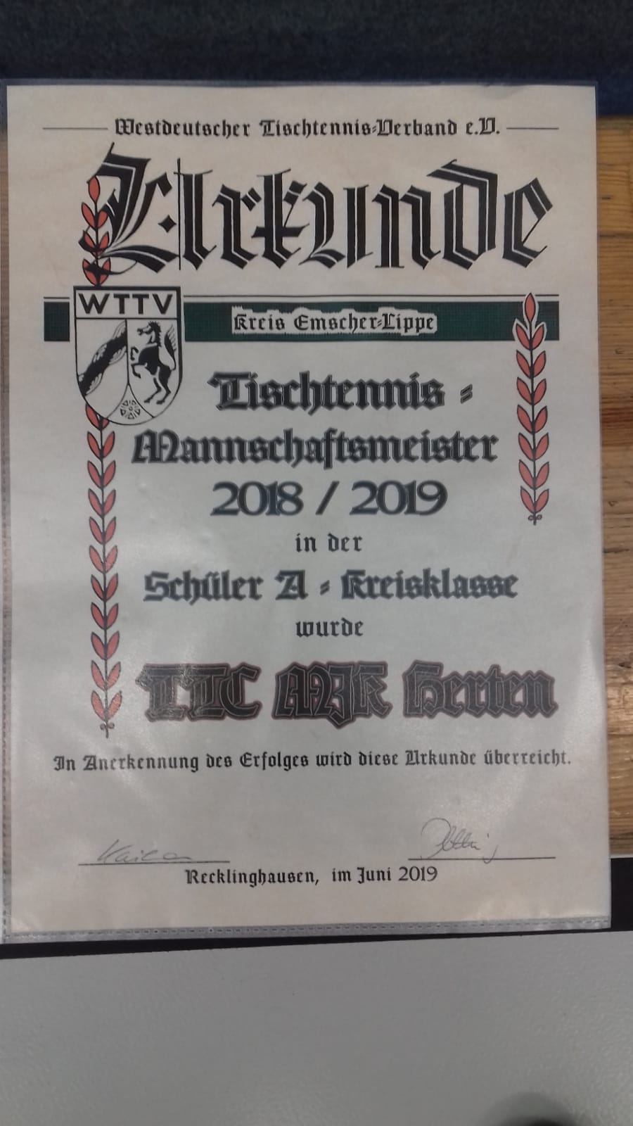 Schüler sind Mannschaftsmeister 2018/2019